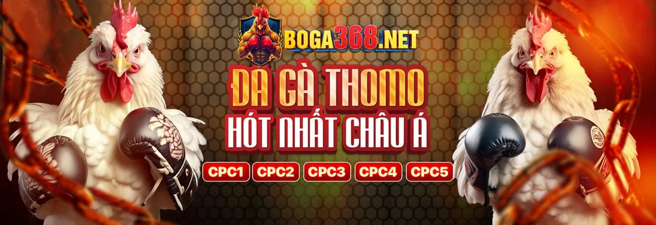 Đá Gà Trực Tuyến LG777 Link Mới